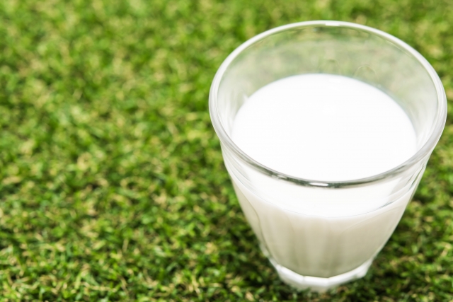 牛乳でお腹がゴロゴロするのは日本人だけ？ゴロゴロしないためには？