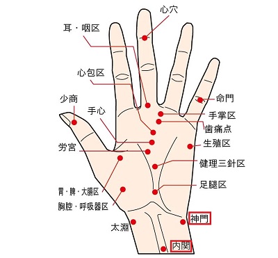 バスで酔いやすい席 酔いにくい席はどこ？酔ったときはどうする？